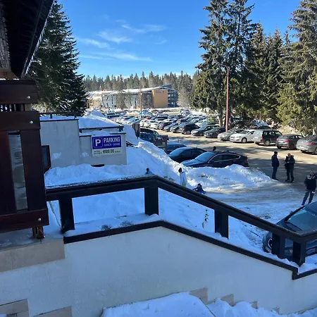 Vila Kopaonik Apartmani Milenkovic Εξωτερικό φωτογραφία