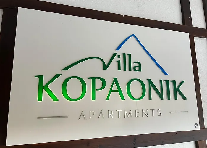 Vila Kopaonik Apartmani Milenkovic
