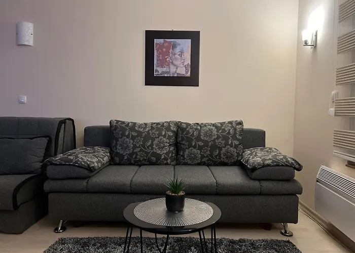 Vila Kopaonik Apartmani Milenkovic